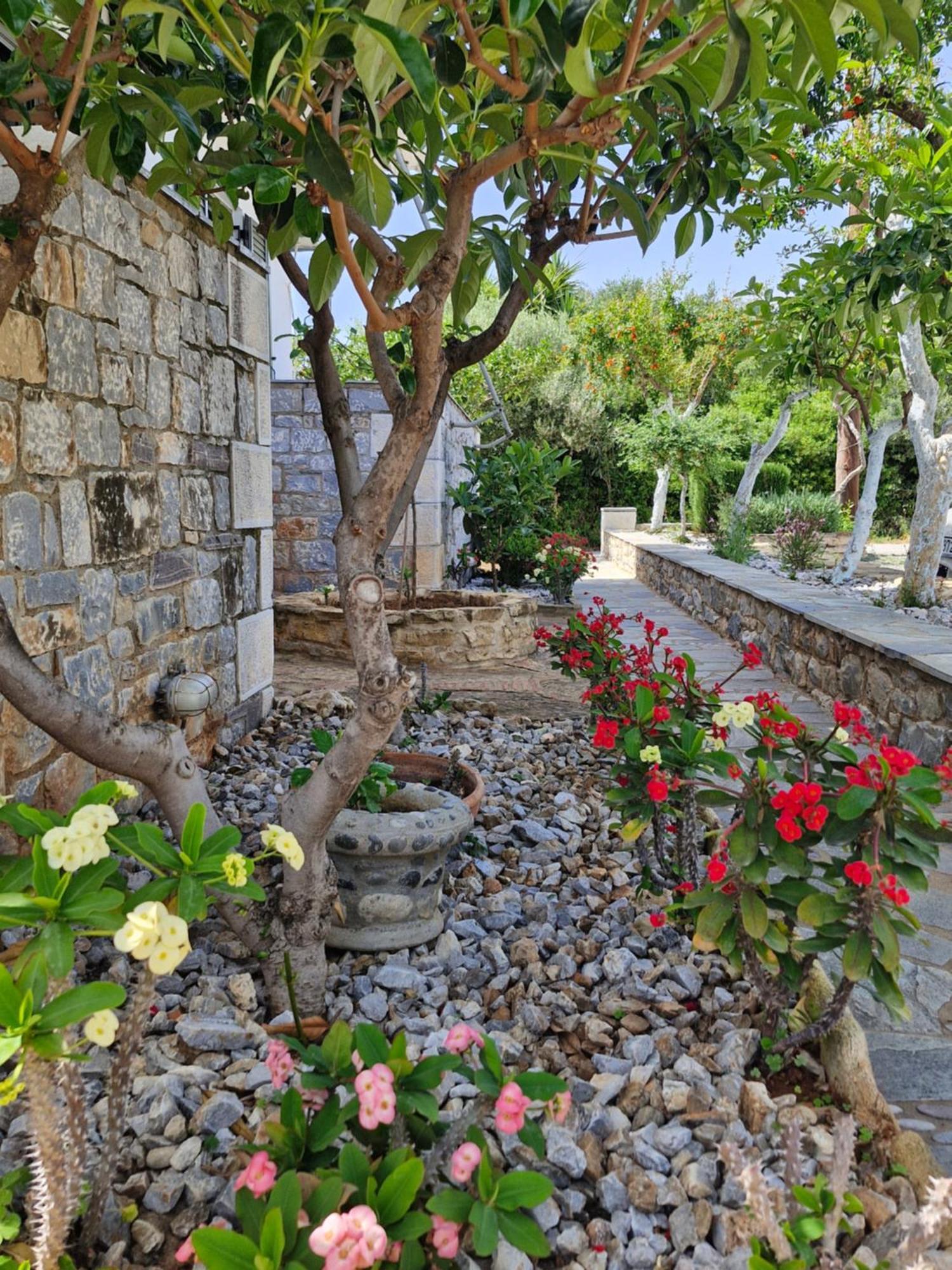 Anna Maria Studios Ágios Nikolaos Exterior foto