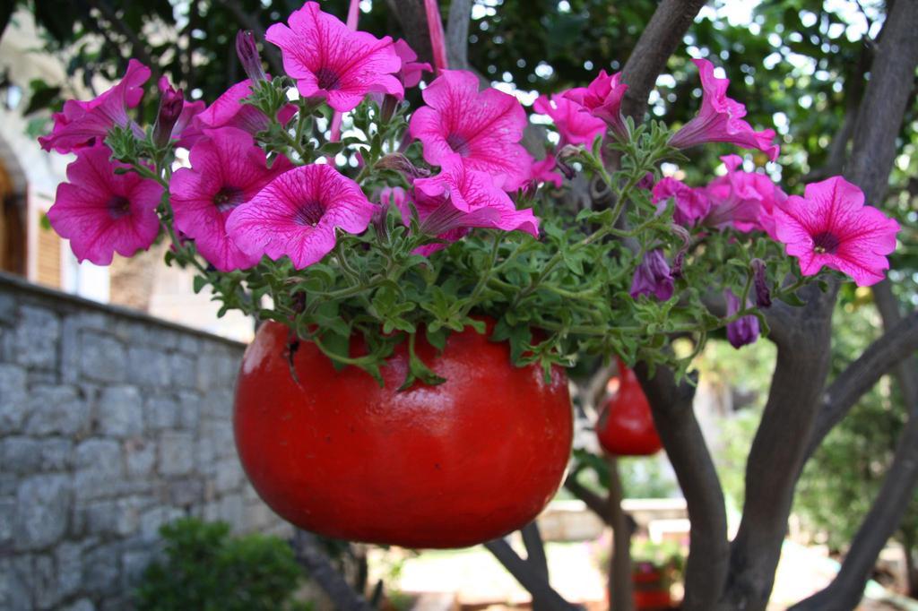 Anna Maria Studios Ágios Nikolaos Exterior foto